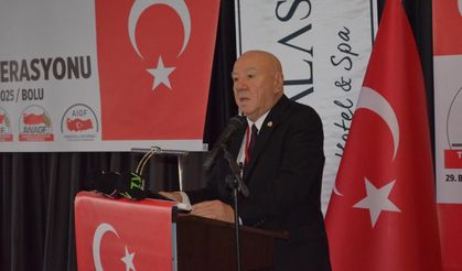 KOLAYLI : BASIN ÖZGÜRLÜĞÜNÜ KISITLAYACI MADDELER YENİDEN DÜZENLENMELİ